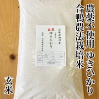 無農薬ゆきひかり玄米10kg